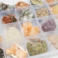 Mineralproben - 24 Stück gemischter indischer Zeolithe in einer Vitrine