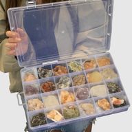 Mineralproben - 24 Stück gemischter indischer Zeolithe in einer Vitrine