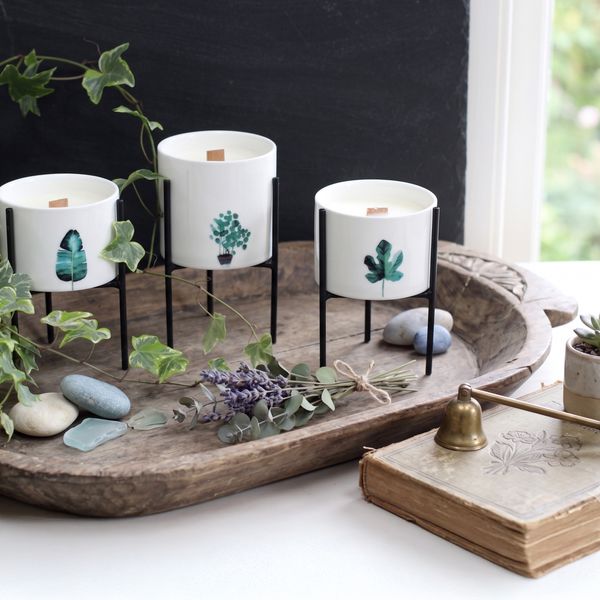 Botanische Holz Docht Sojakerzen