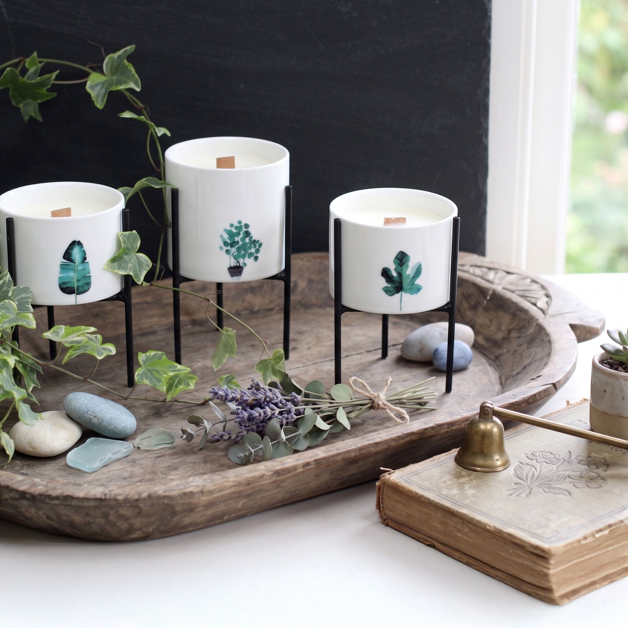 Botanische Holz Docht Sojakerzen