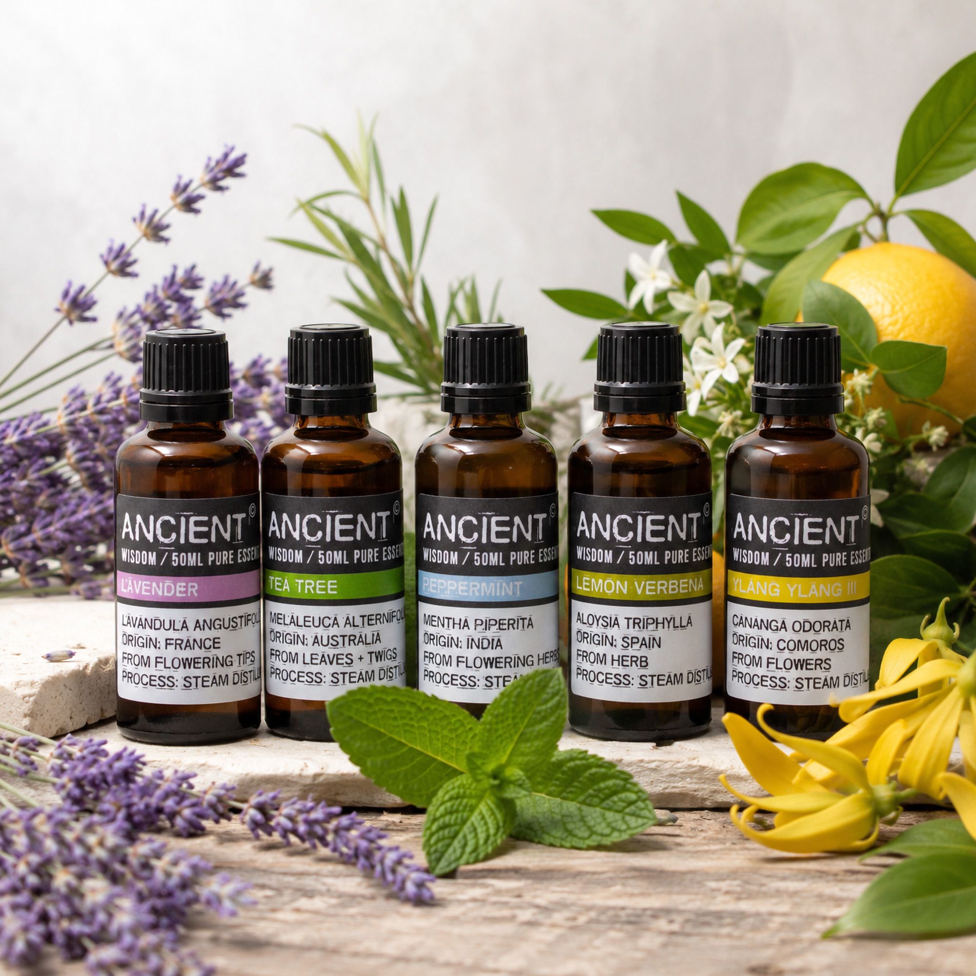 Professionelle ätherische Öle 50ml