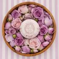 Blumen- und Zitrus-Set