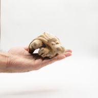 Handgefertigte Parasiten-Holzkunst-Schnitzerei - Ozeanischer Wächter-Oktopus