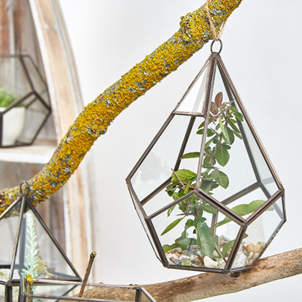 Glas/Metal Terrarien