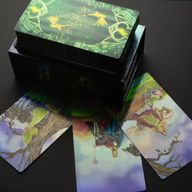 Shuttle Mirror Tarotkarten-Set - mit Begleitheft