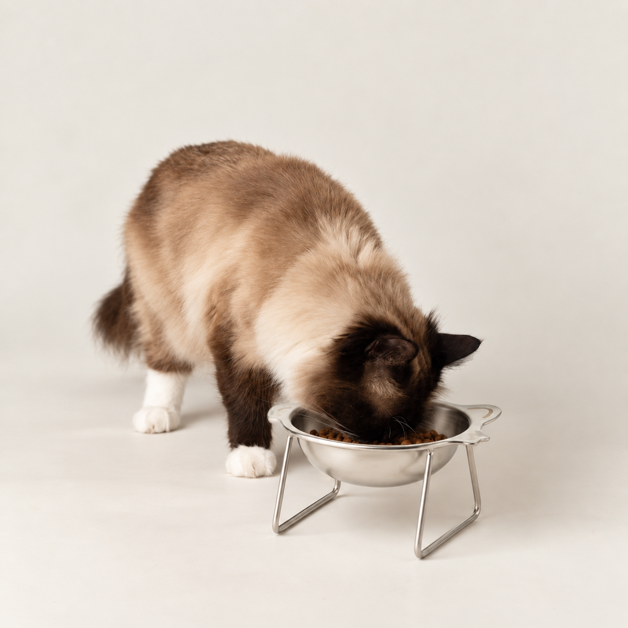 PAW Futternapf