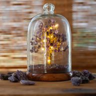 Edelstein-Kuppelgarten – Amethyst & LED-Lichter – 200 Splittersteine