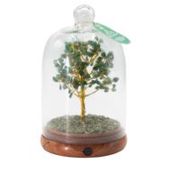 Edelstein-Kuppelgarten – Grüner Aventurin & LED-Lichter – 200 Splittersteine