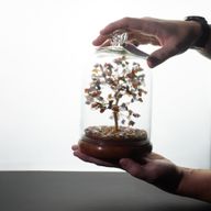 Edelstein-Garten unter der Glaskuppel – Grüner Aventurin & LED-Lichter – 200 Splittersteine