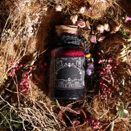 Ancient Witch Starter-Set – 69 Teile | 10 % sparen