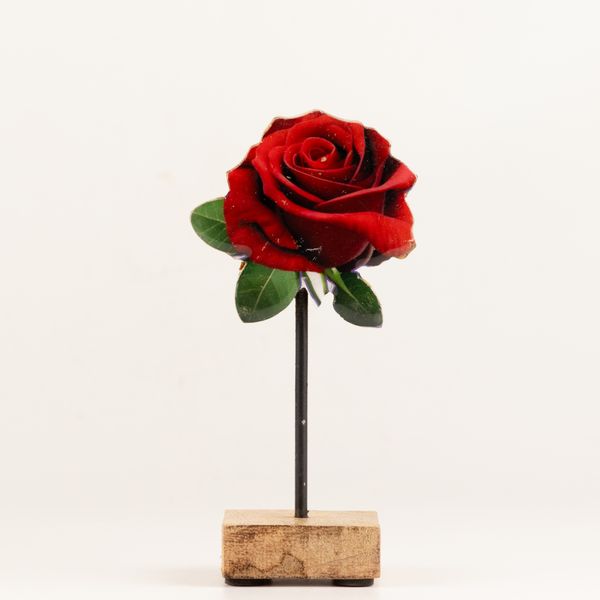 Zimmerpflanzen aus Holz – Mini-Einzelrose