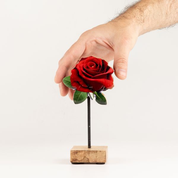 Zimmerpflanzen aus Holz – Mini-Einzelrose