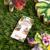Pflanzen aus Holz – Mini-Rose (Einzelstück)