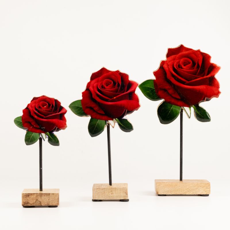 Holzpflanzen – Mittelgroße einzelne Rose
