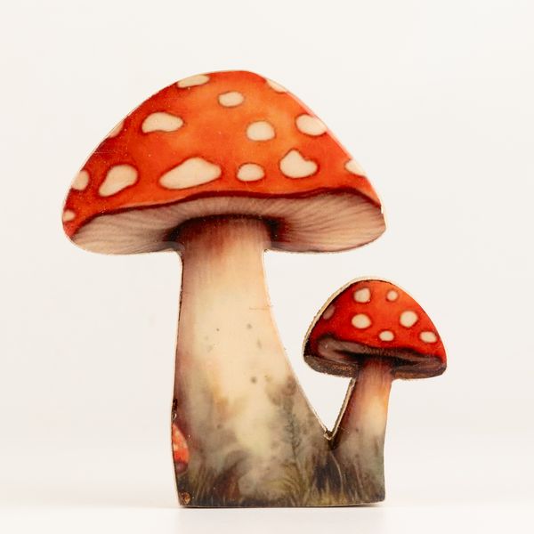 Zimmerpflanzen aus Holz – Mittelgroßer Fliegenpilz