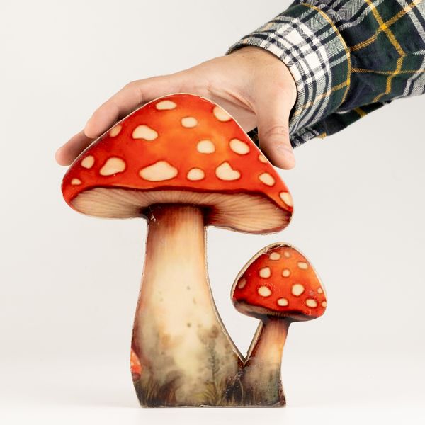 Zimmerpflanzen aus Holz – Großer Fliegenpilz