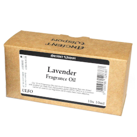 10x 10 ml Lavendel - Duftöl (ohne Etikett)
