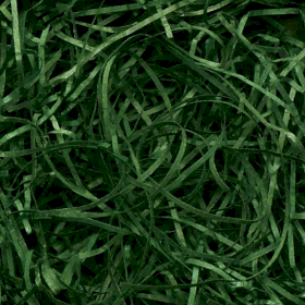 Feine Papierschnipsel - Waldgrün (10KG)