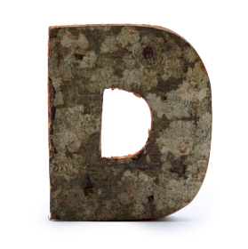 12x Rustikales Rinden-Buchstabe - D  - 7cm