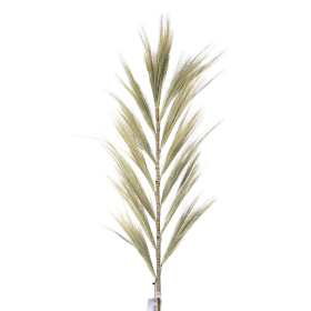 3x Rayung Grass Blond - 1,6 m