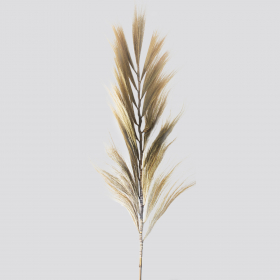3x Rayung Grass Blond - 2m