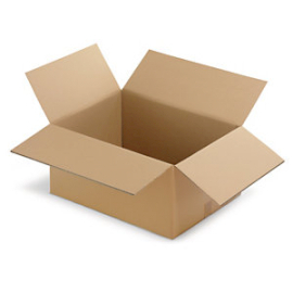 10x Karton 3-lagig - 220 x 160 x 100 mm
