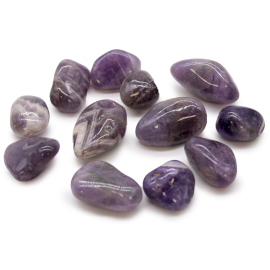 12x Mittlere afrikanische Trommelsteine- Amethyst