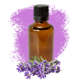 10x Lavendel 50ml - Ohne Etikett