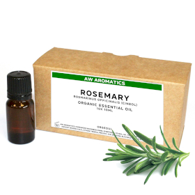 10x Rosemary Organic Essential Oil 10ml - - ohne Etikett