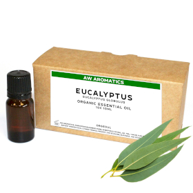 10x Ätherisches Bio-Eukalyptusöl 10 ml - ohne Etikett