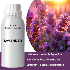 Ätherisches Lavendelöl 0,5kg