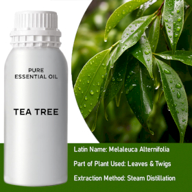 Ätherisches Teebaumöl 0,5kg