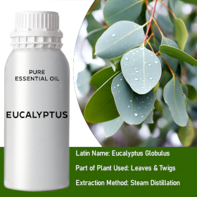 Ätherisches Eukalyptusöl 0,5kg