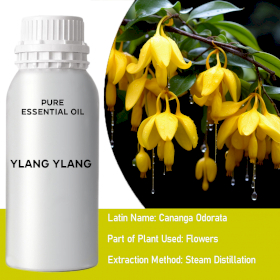 Ätherisches Ylang-Ylang-Öl Grad 1  0,5kg