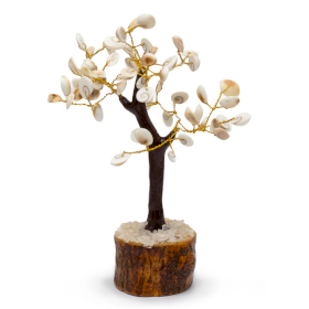 Großer Gomati Chakra Kreis Steinbaum - (60 Steine)