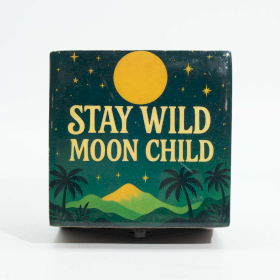 Kleine emaillierte Schachtel- Stay Wild Moon Child