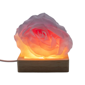 3x 8 cm quadratischer Holz-USB-LED-Ständer – Kalt/Warm/Tageslicht