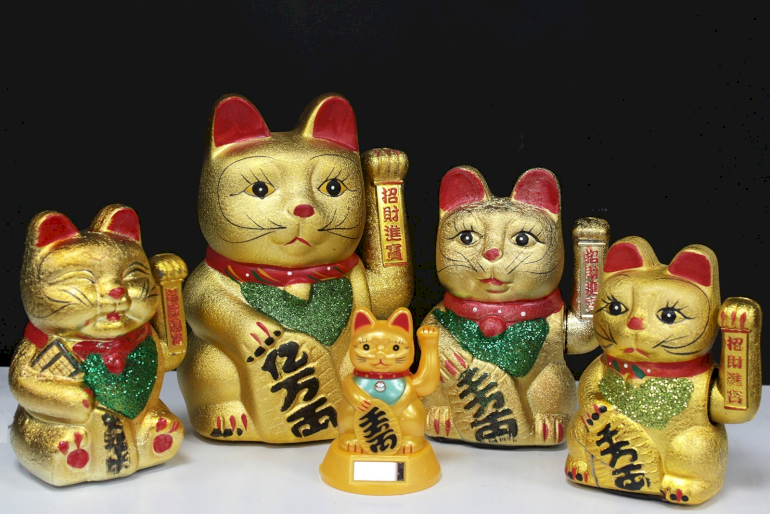 Chinesische Katzen